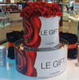 Le Gift launchpad